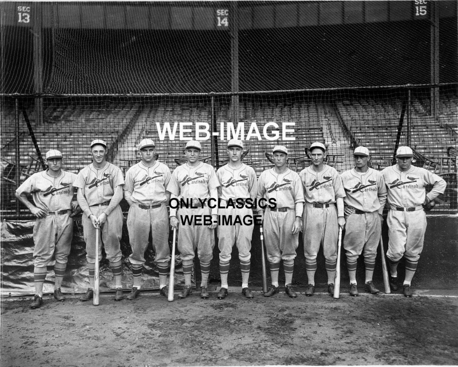 1931 ST LOUIS CARDINALS BASEBALL WORLD CHAMPS PHOTO GASHOUSE GANG